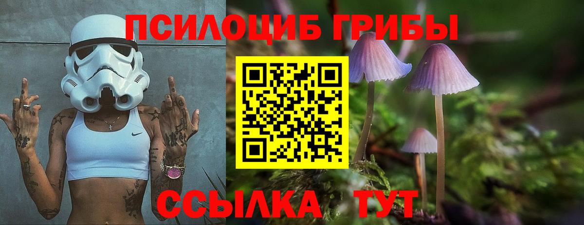 Псилоцибиновые грибы Cubensis  купить  цена  Псилоцибиновые грибы GOLDEN TEACHER  Заволжье  Вход с VPN 